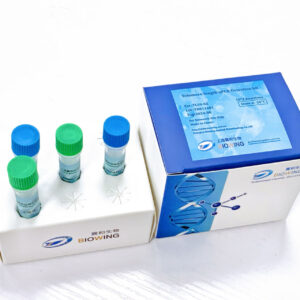 Cell Telomerase Activity Detection Kit